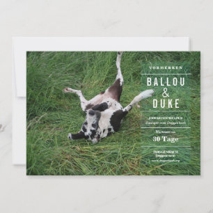 Carte Welpen Ankündigung