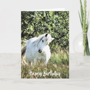 CARTE WELSH PONY