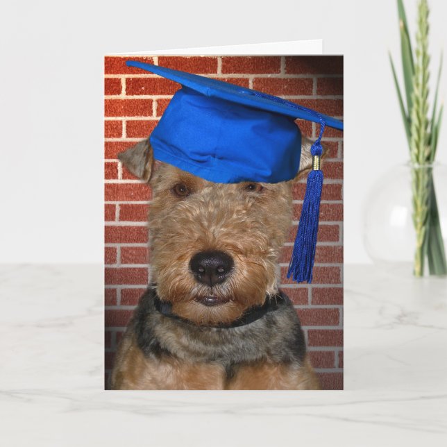 Carte Welsh Terrier Dog diplômé (Devant)