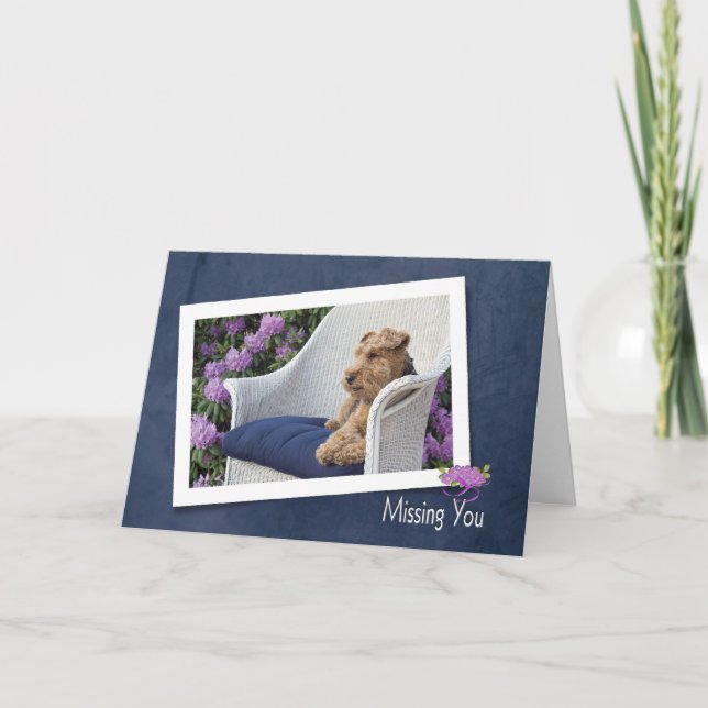 Carte Welsh Terrier Vous Manque (Devant)