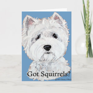 Carte Westie a obtenu des écureuils ?