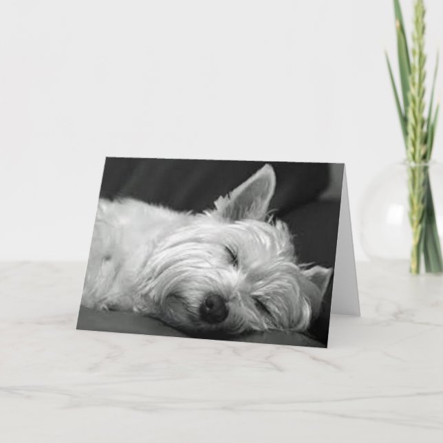Carte Westie Endormi (Devant)
