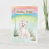 Westie Sympathie des animaux de compagnie sur Rain