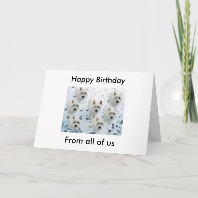 Carte Westies en Neige "Joyeux anniversaire de tous nous (Devant)