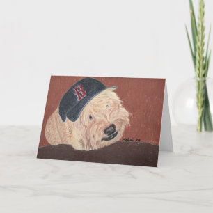 Carte Wheaten Terrier - Wheaten