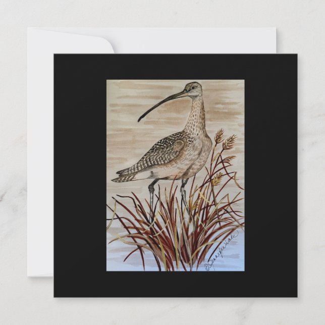 Carte Whimbrel Puzzle (Devant)