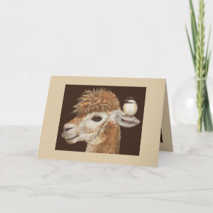 Carte Whisperer Alpaca