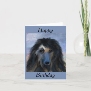 Carte White Afghan Hound