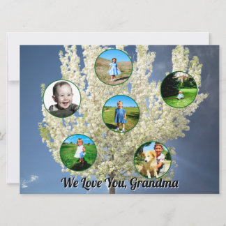 Carte White Blossoming Tree Six Photos Love You Grandma 