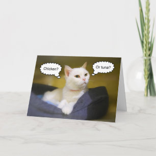 Carte White Cat Funny Birthday Card