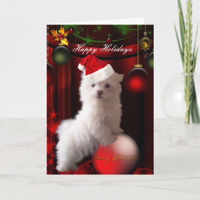 Carte White Chien Fleurs "Joyeuses Fêtes" (Devant)
