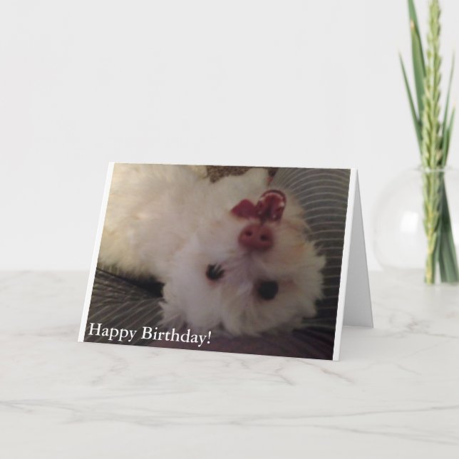 Carte White, Funny Puppy Happy Birthday (Devant)