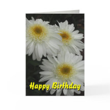 White Gerber Daisy Joyeux anniversaire
