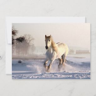 Carte White Horse Galloping