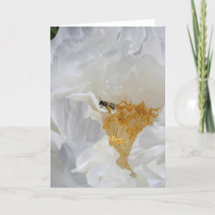Carte White Peony et Bee Floral Photographie