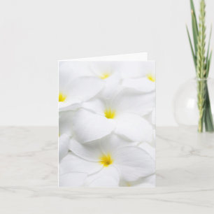 Carte White Plumeria Frangipani Hawaiian Tropical Flower