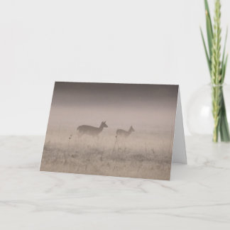 Carte Whitetailed Deer - Quiet Winter Morning 
