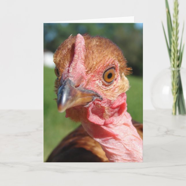Carte Who Me ? A Turkin (Devant)