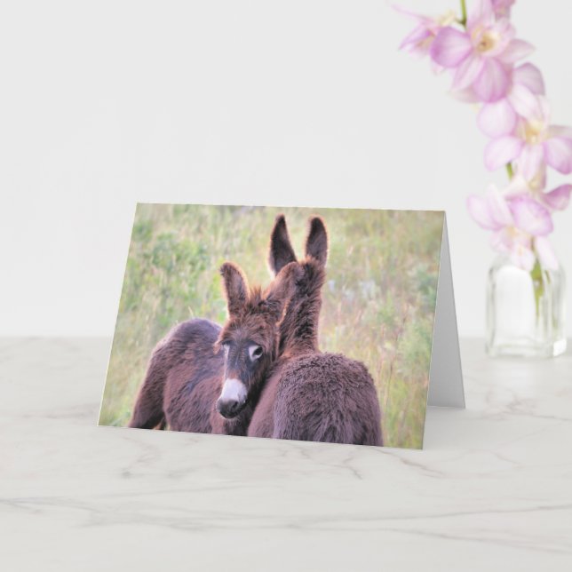 Carte Wild Burros de l'Ouest (Orchidée)