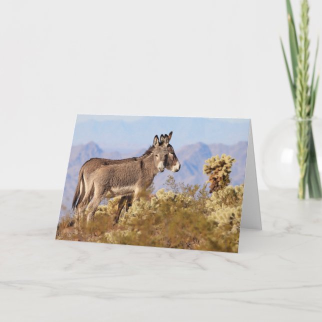 Carte Wild Burros of Arizona (Devant)