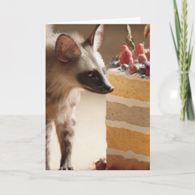 Carte Wild Curiosity & Layered Cake (Devant)