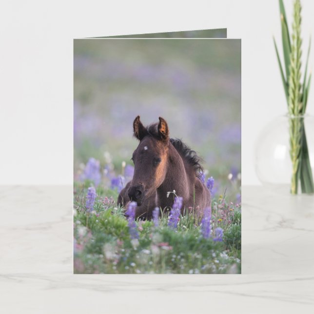 Carte Wild Horse Greeting Card (Devant)
