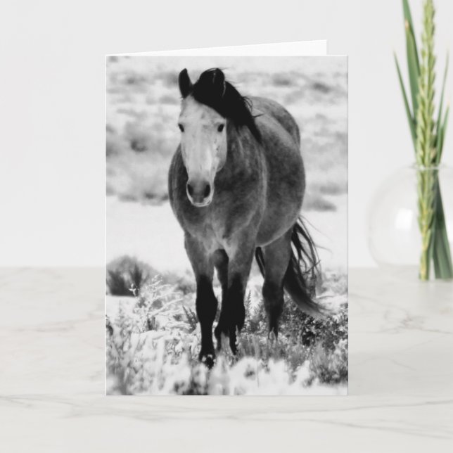Carte WILD HORSE OF UTAH Foleting Card (Devant)