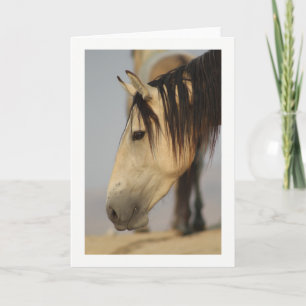 CARTE WILD HORSE OF UTAH GREETING CARD