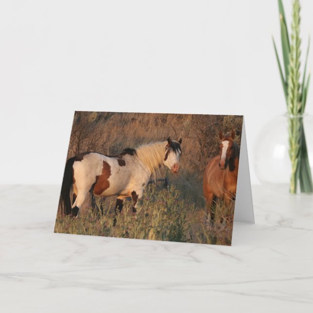 Carte Wild Shaman et Jocelyn (Devant)