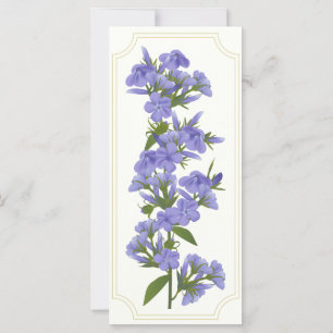 Carte Wild Sweet William Rack