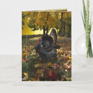Carte Wild Turkey