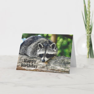 Carte Wildlife Raccoon Log Mammal Photo Anniversaire