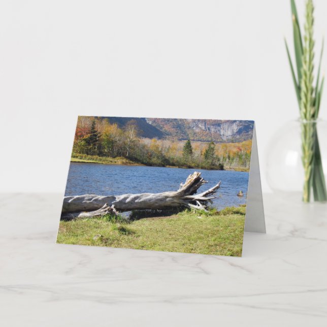 Carte Willey's Pont, Saco River, North Conway, NH (Devant)