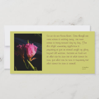 Carte windows chats fleurs 018.JPG, Donc on ne regarde p