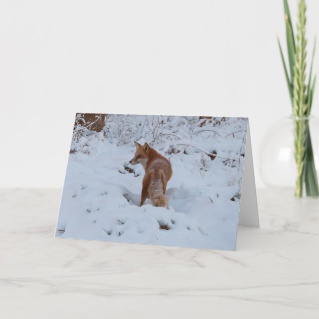 Carte Winter Fox (Devant)