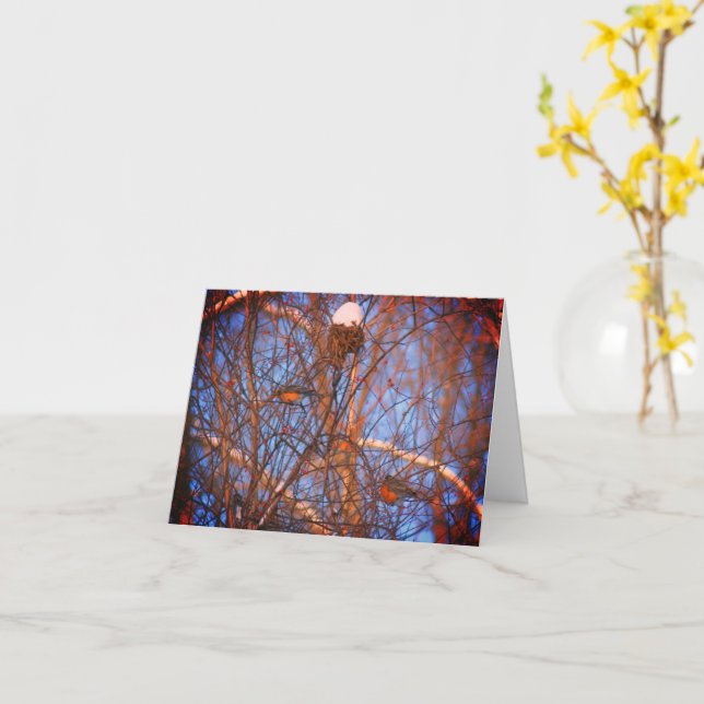 Carte Winter Robins Wildlife Nature Note (Fleur jaune)