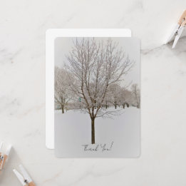 Carte Winter Tree Photography