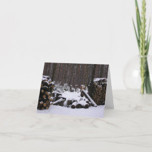 Carte Winter Woods