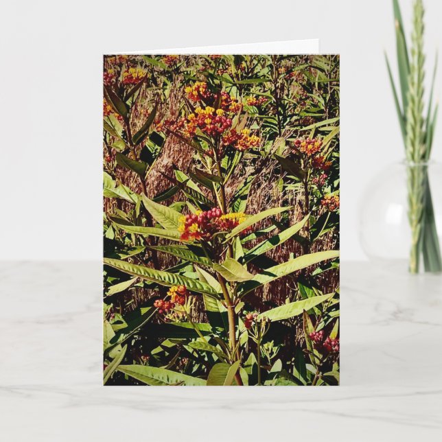 Carte Wisconsin Red Wildflower (Devant)