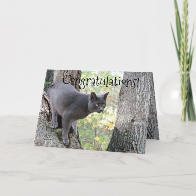 Carte Wish Congratulations (Devant)