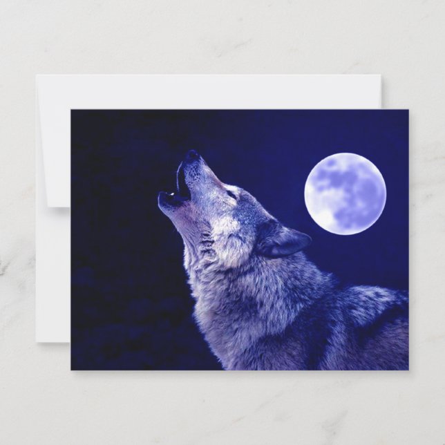 Carte Wolf Howling à Moon (Devant)