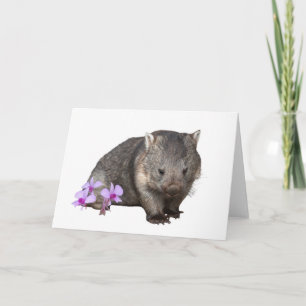 Carte Wombat et Cooktown Orchid