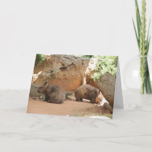 Carte Wombat Heaven