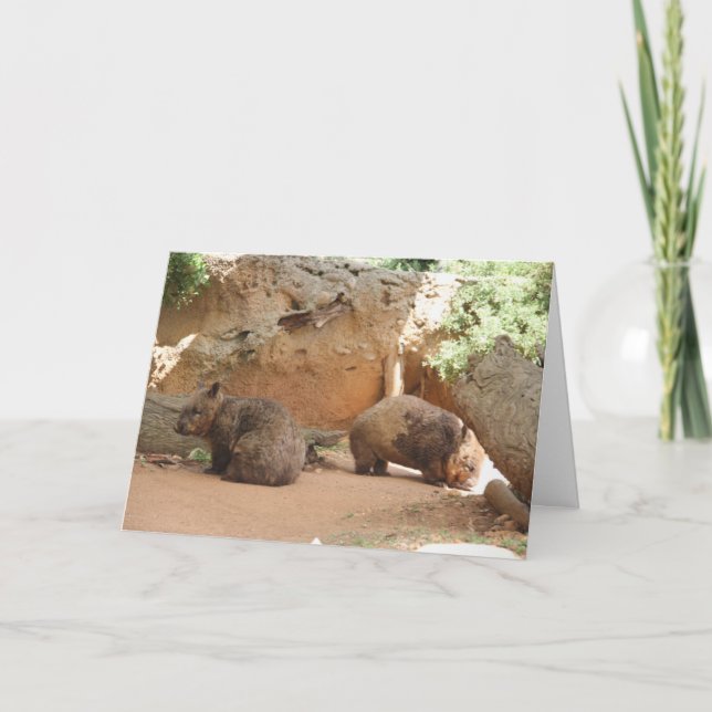 Carte Wombat Heaven (Devant)