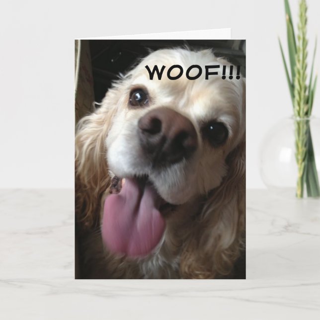 CARTE WOOF *JOYEUX ANNIVERSAIRE* EN LANGUE DOGGY (Devant)