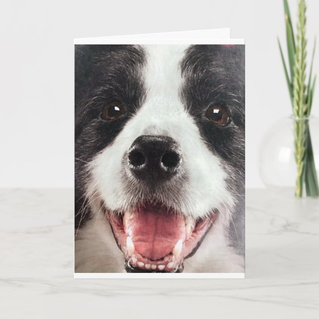 CARTE WOOF WOOF OU EN D'AUTRES MOTS **JOUR D'ANNIVERSAIR (Devant)