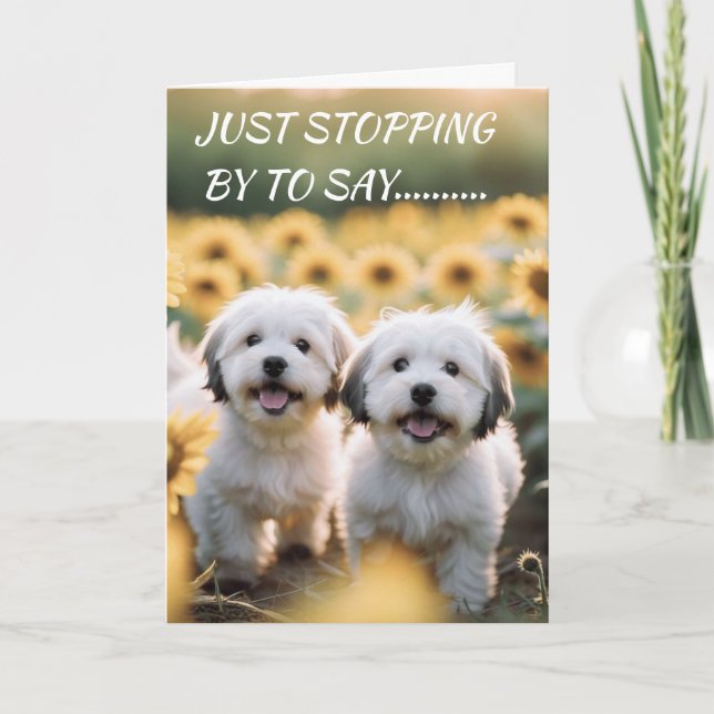 CARTE WOOF WOOF SIGNIFIE "HEUREUX ANNIVERSAIRE" (Devant)