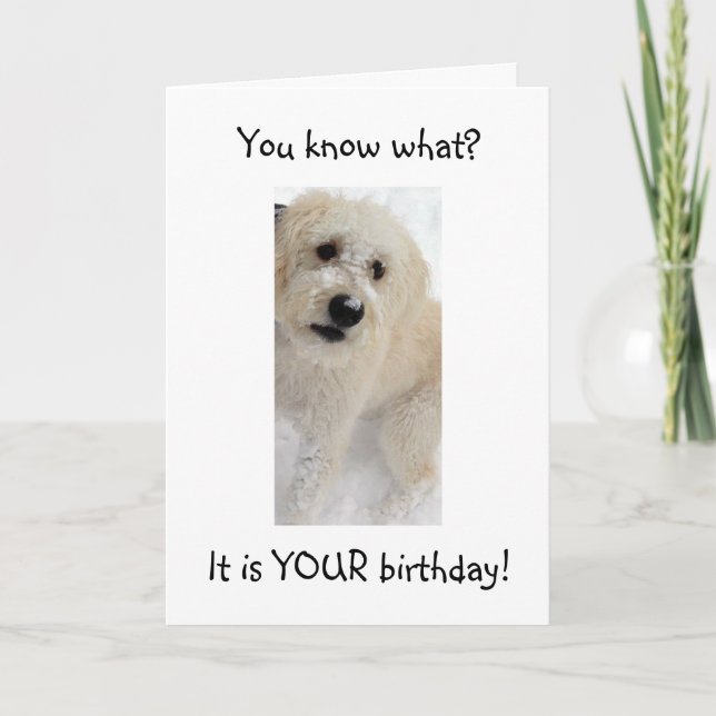 Carte WOOF WOOF-you RECHERCHE BON POUR "40" (Devant)