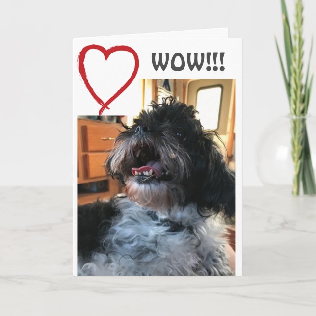 CARTE **WOW** ET **QUI** C'EST VOTRE ANNIVERSAIRE (Devant)