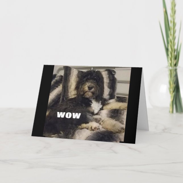 CARTE WOW NE PEUT JUSTE PAS CROIRE QUE VOUS ÊTES "40" CA (Devant)
